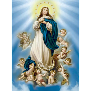 Adesivo com a Imagem de Nossa Senhora da Conceição Brilhante - Tamanho Grande