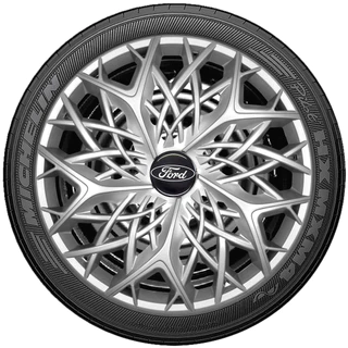 Jogo 4 Carlotas Esportivas aro 13/14 Prata Ford Ka New Fiesta Focus Todos Anos