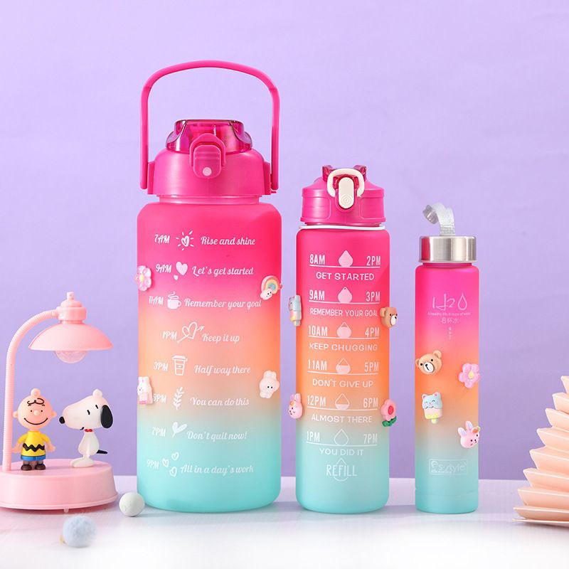 Kit 2 Garrafas De Água Rosa We Lovely Bears 2L E 700Ml em Promoção na  Americanas