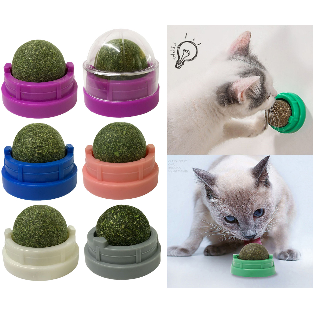 Brinquedo Bola com Catnip Cola na Parede Chão Erva de Gato Natural Melhora Hálito LR-0185