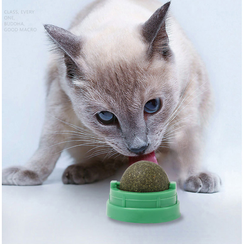 Brinquedo Bola com Catnip Cola na Parede Chão Erva de Gato Natural Melhora Hálito