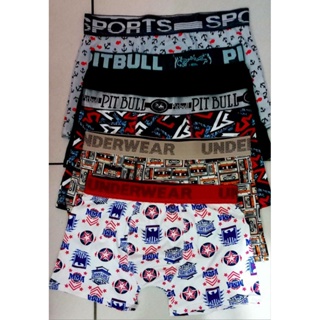 kit com 10 cueca Box adulto microfibra sortidas