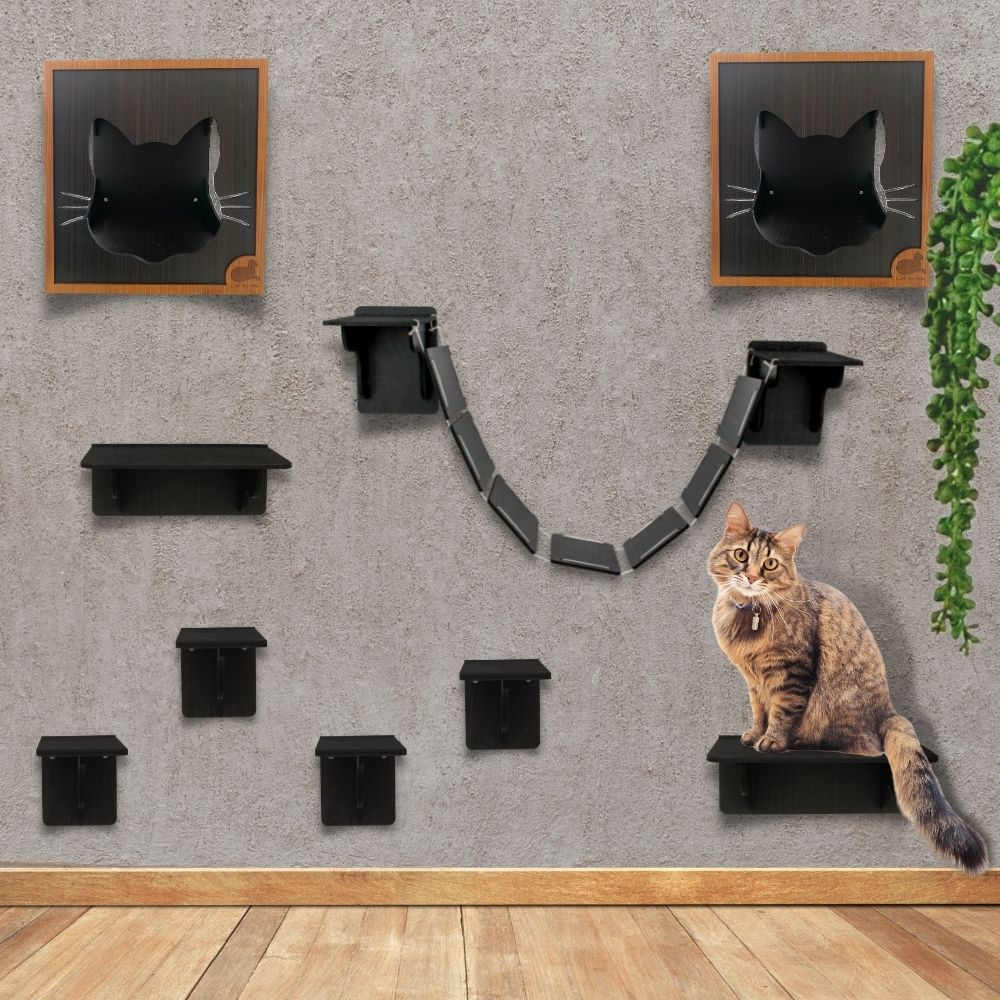 Playground para Gatos Kits Arranhador Nicho Brinquedo Gato Ponte ...