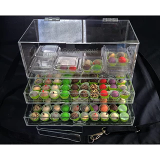 Expositor 24 Caixinhas+2 Gavetas 100 Brigadeiros Avulsos