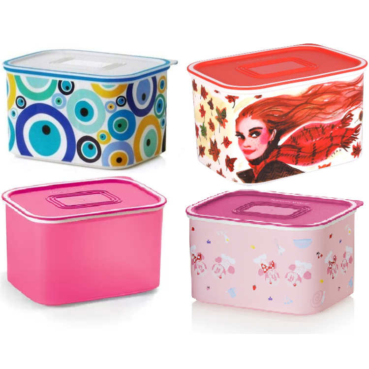 Tupperware Bifresco Baseline Retangular 1,3Litros Armazenamento e ...