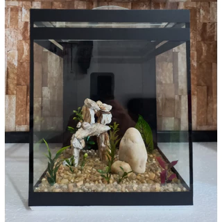 Aquário Beteira Tubular Decorada Peixe Betta 19 Litros