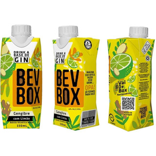 Kit Gin Drink Pronto Bevbox Pink Lemonade + Gengibre 330ml | Shopee Brasil