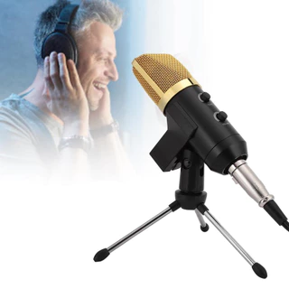 Microfone Lorben BM100FX condensador cardioide preto/dourado