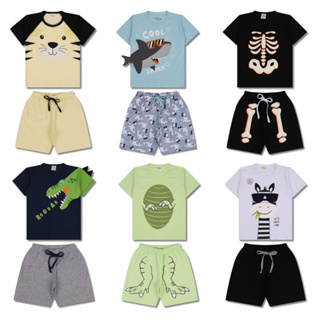 Kit Sortido 5 Pijama Infantil Menino - 5 Camisetas + 5 Bermudas - Promoção - Kit com 5 Pijamas de Roupa Infantil Menino Verão Bebe Barato