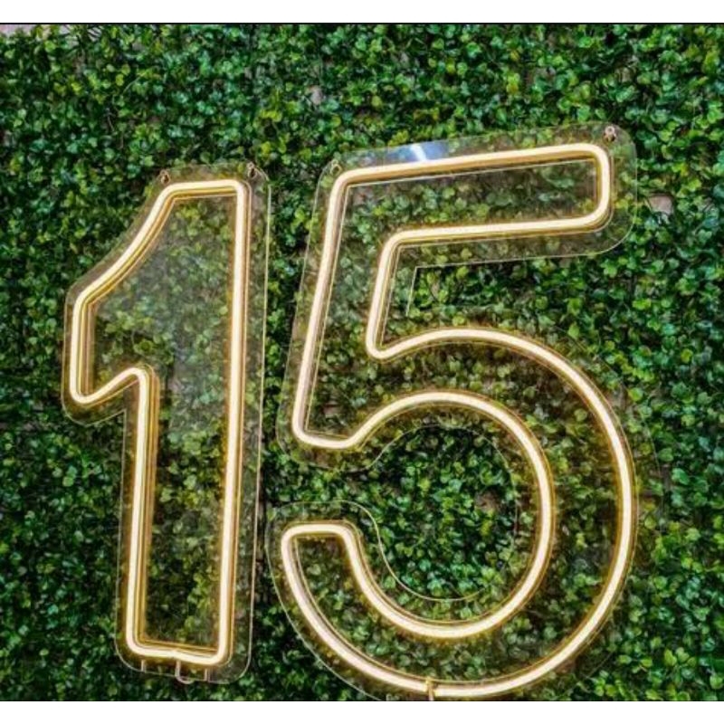 Painel Led Neon Número 15 Em Acrílico Transparente | Shopee Brasil