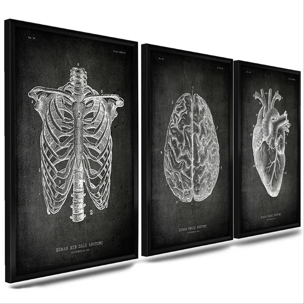 Quadros decorativo kit3 C/Vidro Anatomia Humana Esqueleto Cérebro Coração sala quarto, planetas