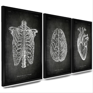 Quadros decorativo kit3 C/Vidro Anatomia Humana Esqueleto Cérebro Coração sala quarto, planetas