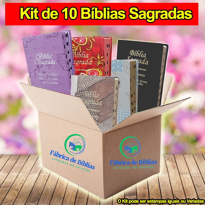 Kit 2 Premium - Caixa com 10 Bíblias de Tamanho Grande | Capa de Couro ...