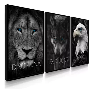 Quadros Decorativos Disciplina Execução Foco Leão Grande