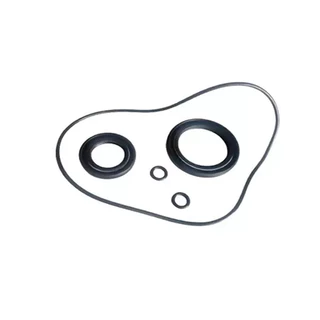 Anel Oring Reparo Mesa Magneto Retentor Dafra Zig Super 50