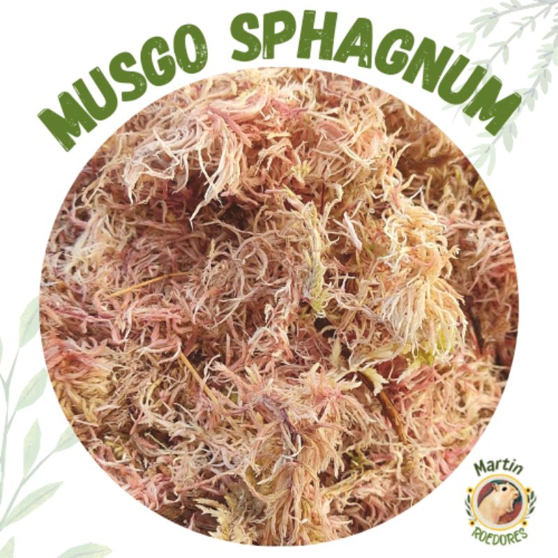 Musgo para terrário, hamster, gerbil, réptil,decoração, diy