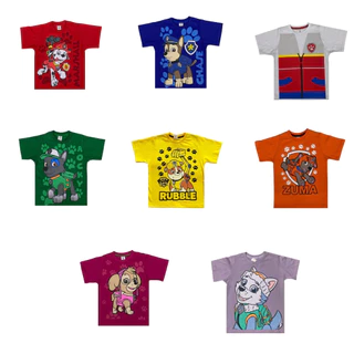 Patrulha Canina - Camiseta camisa Fantasia Infantil Personagens Meninos Naruto Hulk Homem Aranha Bolofofos Marwel Thor Marshal Ryder chaise Ruble Rocky Sky Zuma Everest