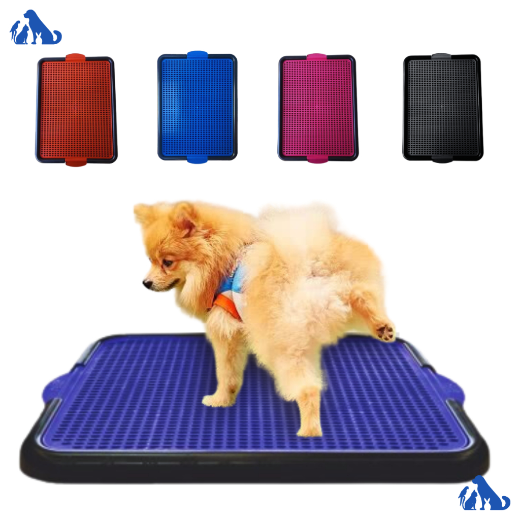 Educador canino sanitário tapete para cachorro fazer xixi | Shopee Brasil