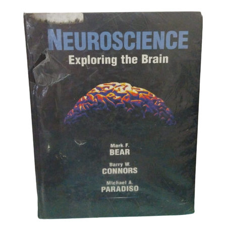 Neuroscience: Exploring the Brain Capa Dura- Mark F. Bear; Barry W ...