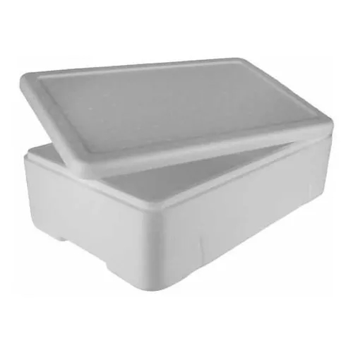 Caixa de Isopor para Pescados de 15 Litros - Caixa para pescados, gelo, medicamentos e alimentos.