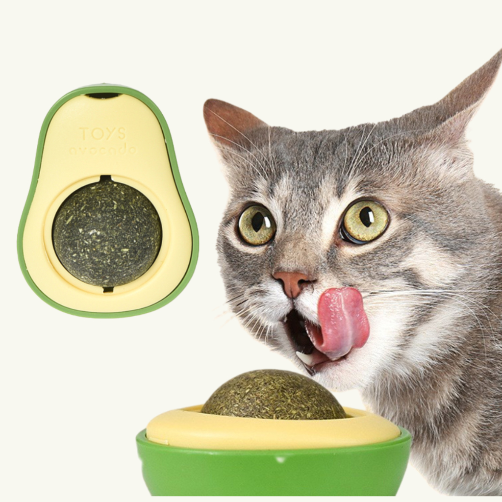 Abacate De Brinquedo Para Gatos Avocado Catnip Erva Natural 1 Uni | Shopee  Brasil