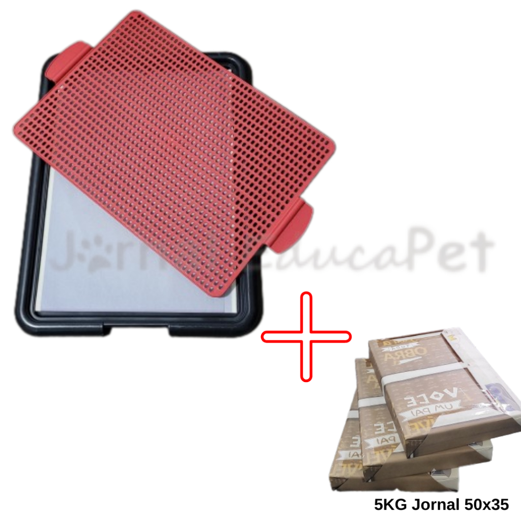 Sanitário Pet Canino Tapete Xixi Dog + 5KG Jornal Pet Higiênico 50x35