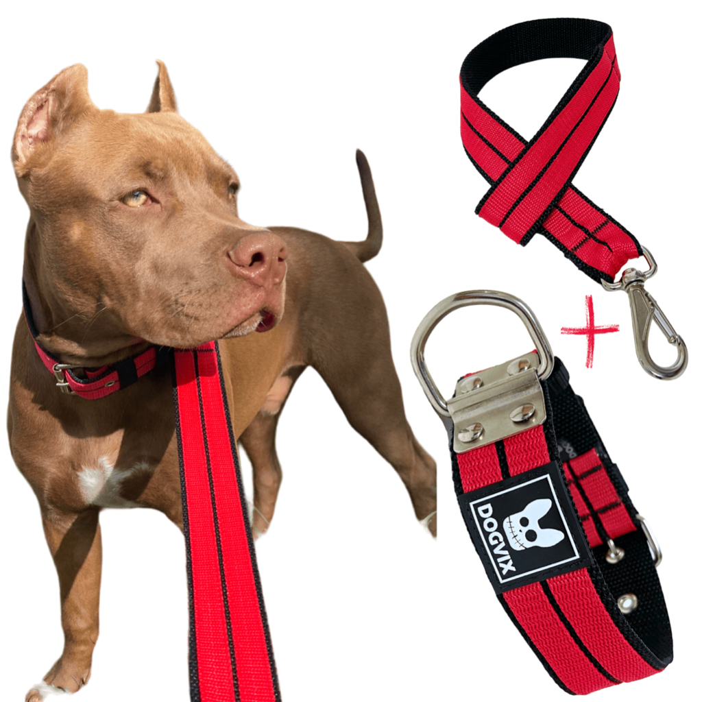 Coleira + Guia Forte Luxo Para Cachorros Pitbull Pet Grande Porte Dogvix
