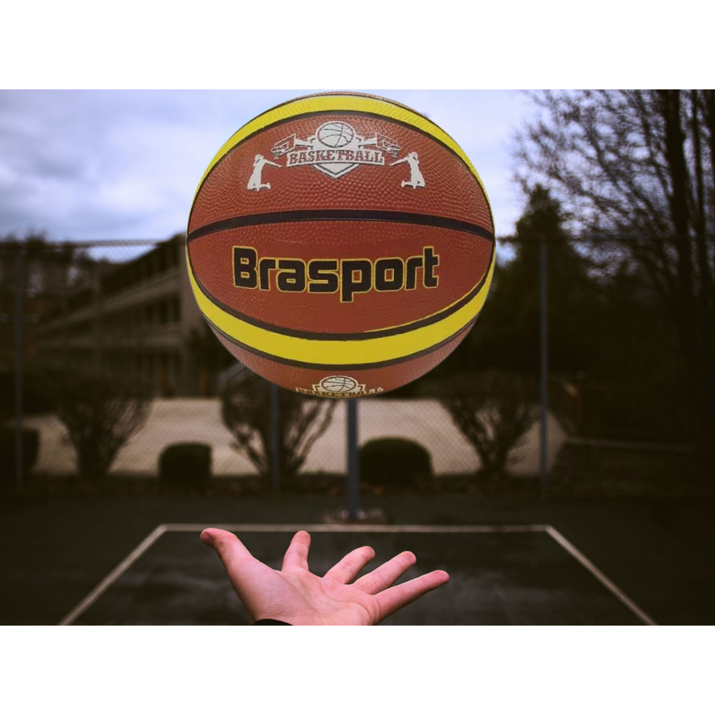 Preços baixos em Bolas de Basquete Baden