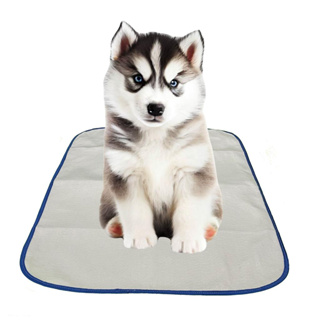 Kit 4 Tapete Higiênico Lavável Reutilizável Para Cães Cachorros Tapete Pet Xixi Canino Dog Cão