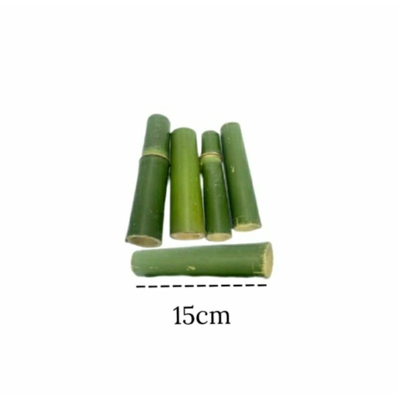 Brinquedo Bambu Natural para Roedores – Detalhe do Produto em Uso – Produto Premium Pet Caprili Shop