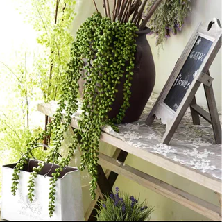 Planta artificial pendente suculenta