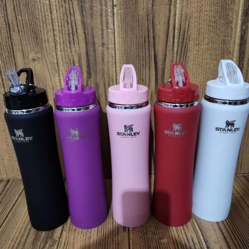 Garrafa Térmica 750ml com canudo e chaveiro