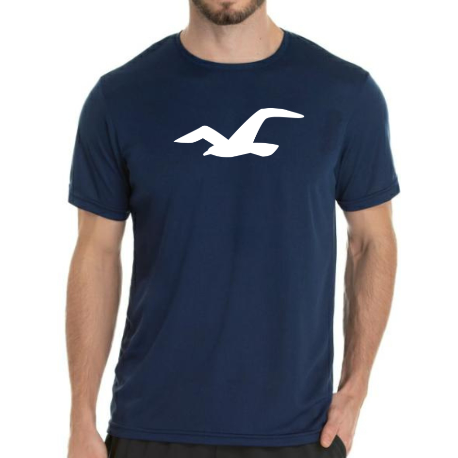 Camiseta Camisa Hollister 100% Algodão Logo G