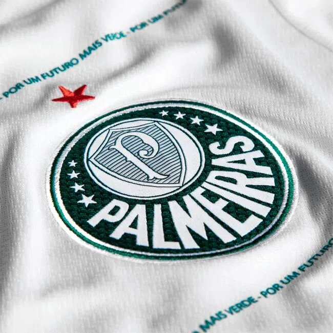 t-shirt camiseta palmeiras ♡ (png) em 2023  Camisetas do palmeiras, Camisa  da frança, Camiseta