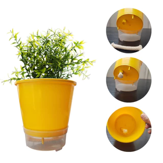 Vaso Raiz Auto Irrigável Gourmet 13cm Autoirrigável Temperos