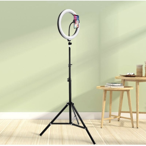 Ring Light 10' Completo Portátil 26cm + Tripé + suporte p/ celular. - 3XZ OFFICIAL STORE