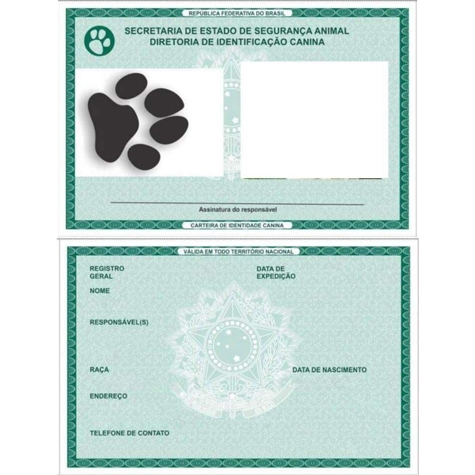 Documento Rg Pet Identidade Pet Cachorro Gato Estimação - Impresso e ...