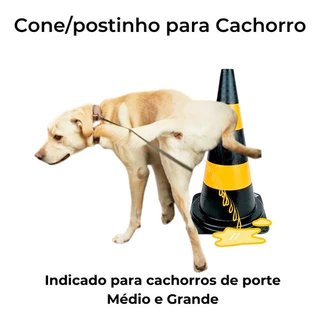 Cone Educador Sanitário Pet Xixi No Lugar Certo