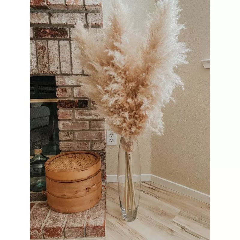 PROMOÇÃO 10 Hastes de Capim dos Pampas