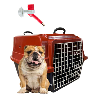 Caixa De Transporte Para Cães Grandes Reforçada N4