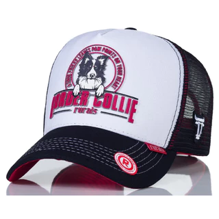 bone chapeu border collie cachorro casual country truker
