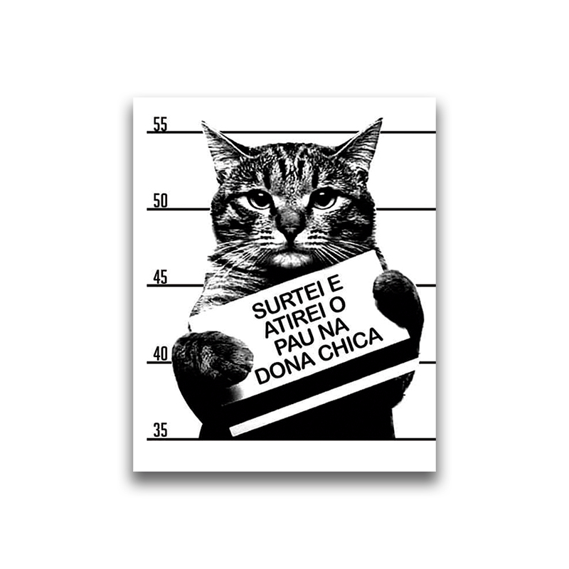 Quadro Decorativo Meme Gato Surtei Atirei o Pau Na Dona Chica | Shopee ...