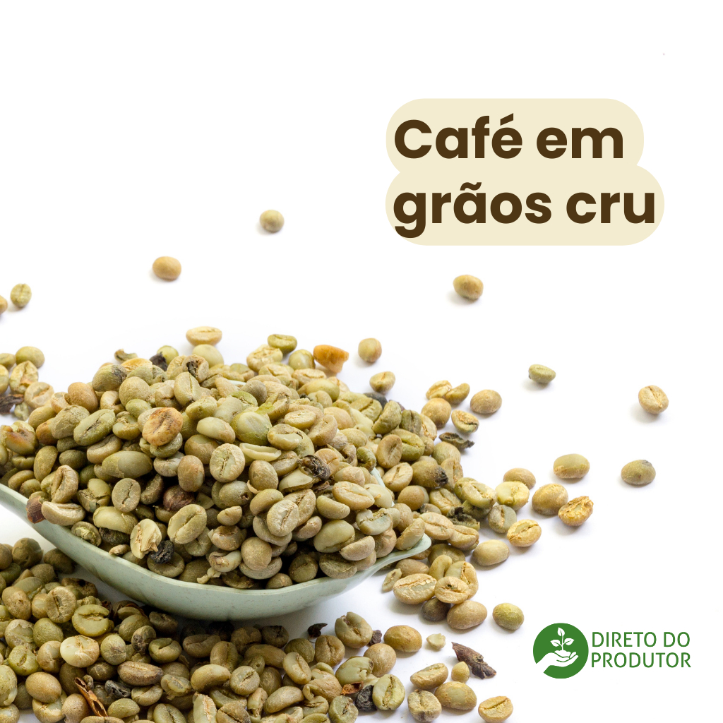 Café conilon em grão cru  matéria-prima para torrar - 100