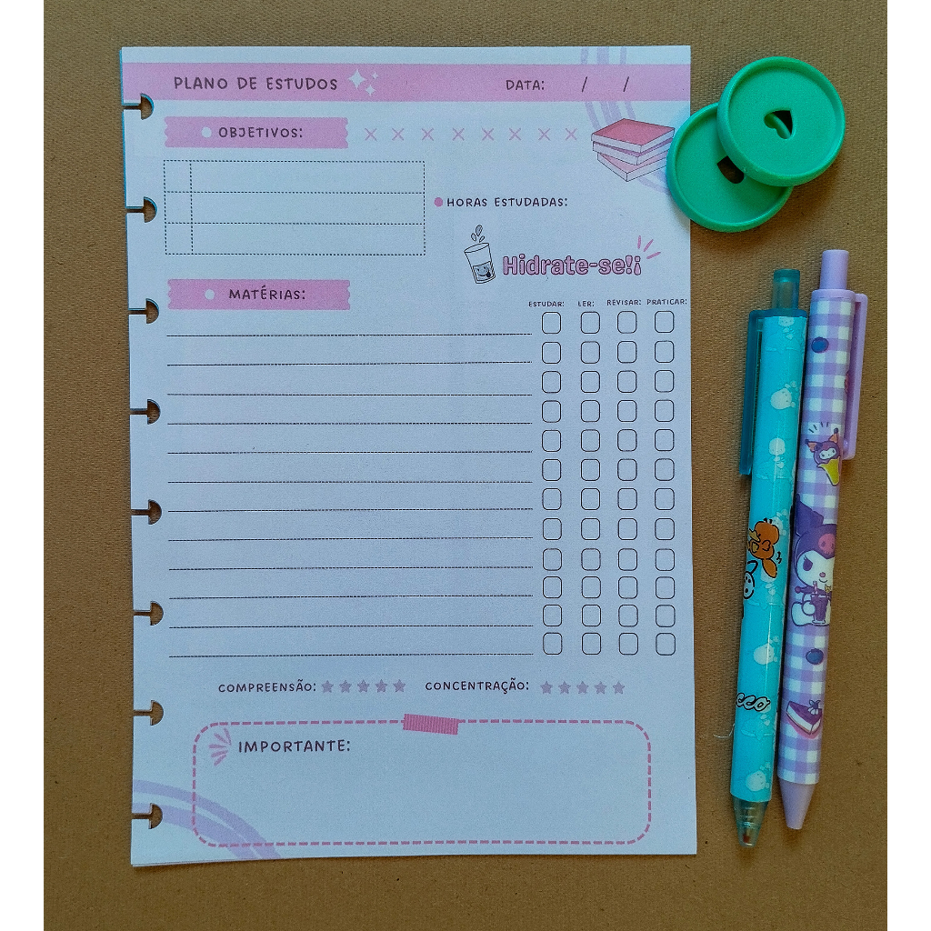 Refil Plano de estudo - planejamento- ImaginaMika - Caderno de Discos - checklist - Caderno Inteligente - Bujo