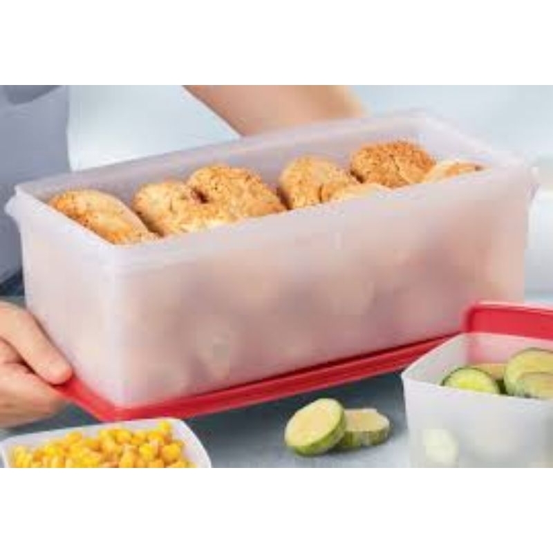 Mega Caixa 6 litros Tupperware | Shopee Brasil