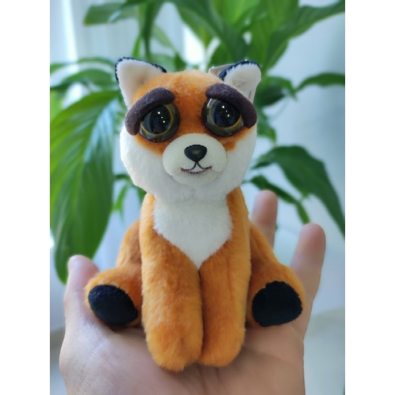 Fox sales feisty pet