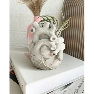 Vaso Decorativo Cachepô - MÚSCULO CARDÍACO Aesthetics Boho Minimalista Corpo Humano Casa