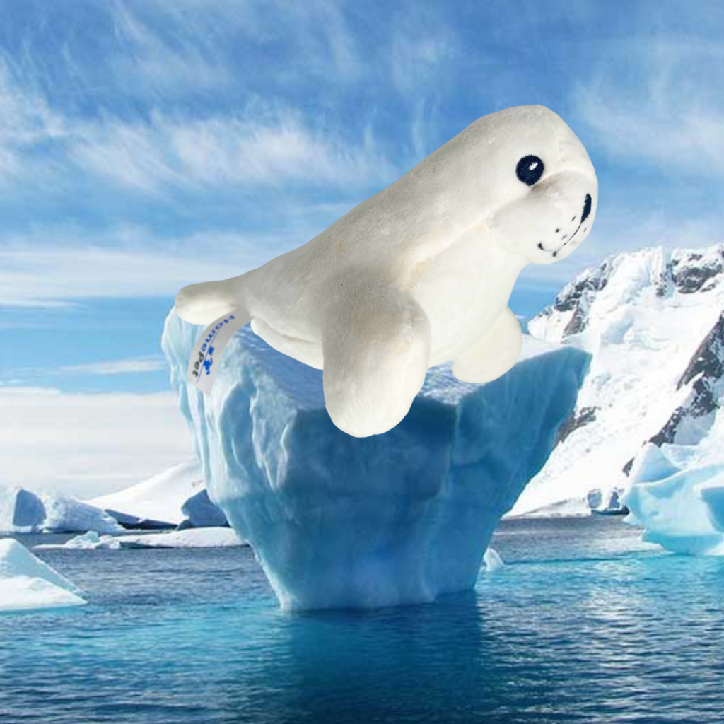 Brinquedo Mordedor Para Cachorro Pet Foca Pelúcia com Apito