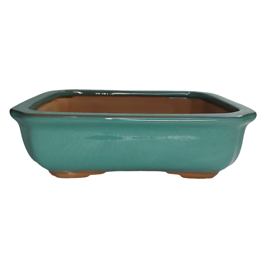 Vaso Cermico Para Bonsai Retangular Literato 21x15x5cm 78lr | Shopee Brasil