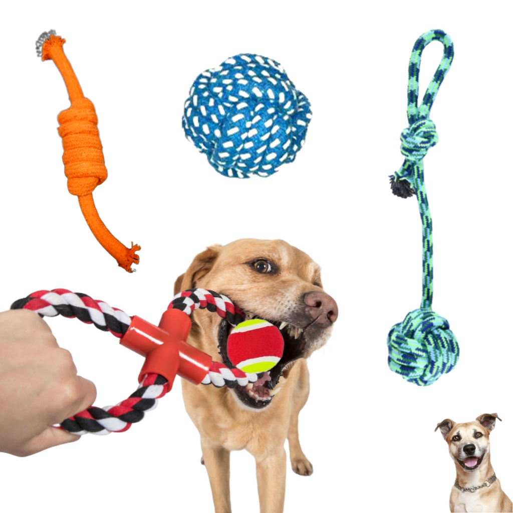 4 Brinquedo Pet Corda Resistente Interativo Cachorro Forte | Shopee Brasil